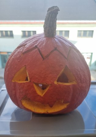 Škola