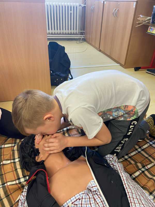 Škola