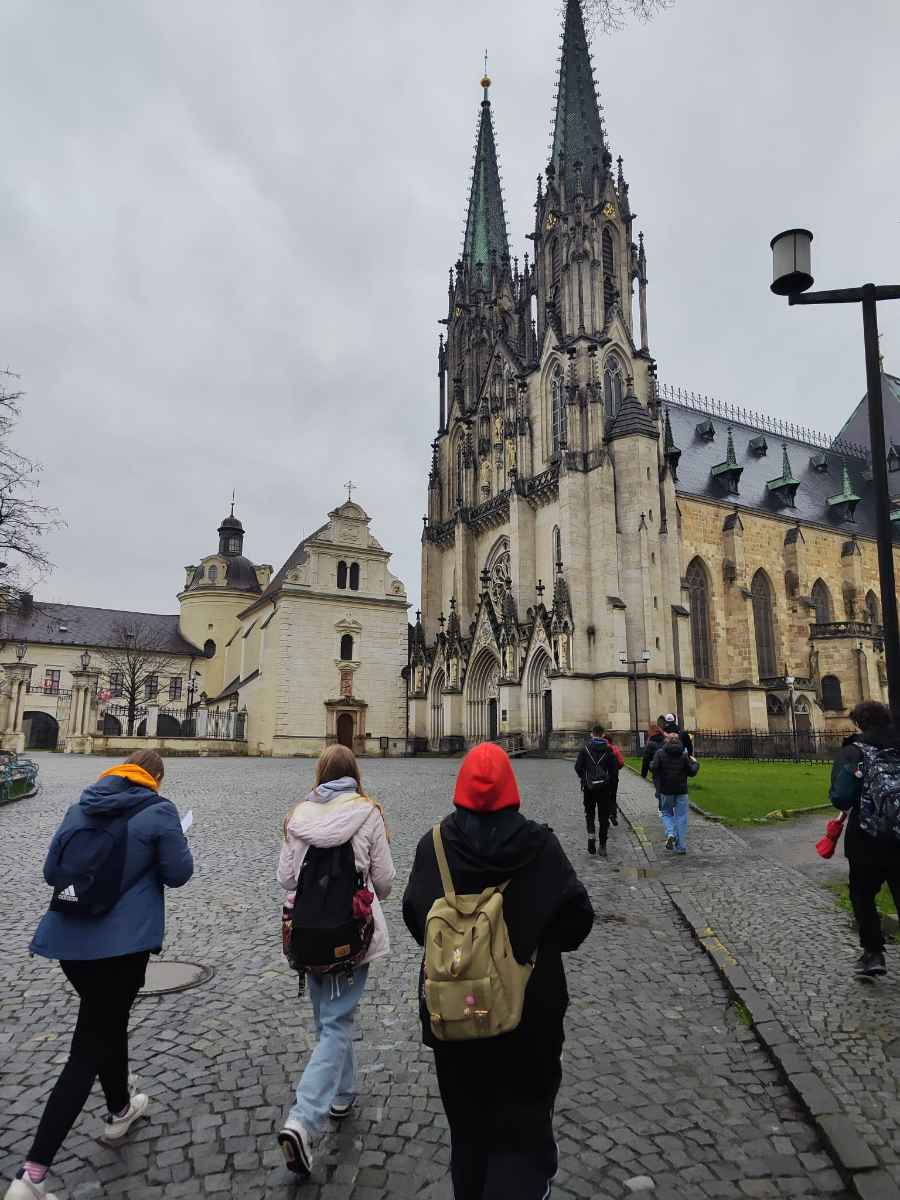Škola