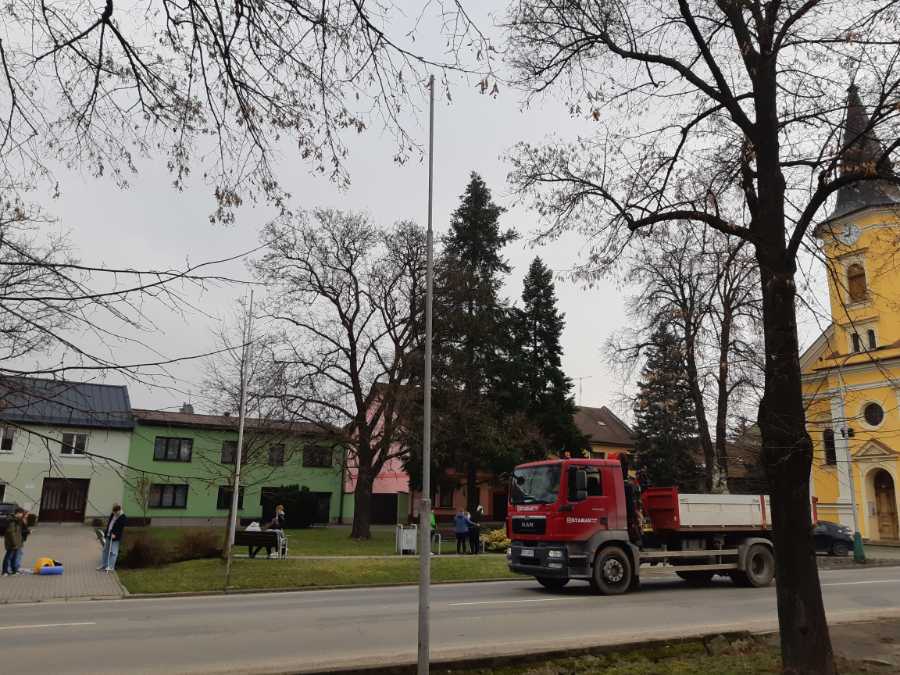 Škola